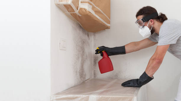 Professional Black Mold Remediation technician working in Clearville, PA