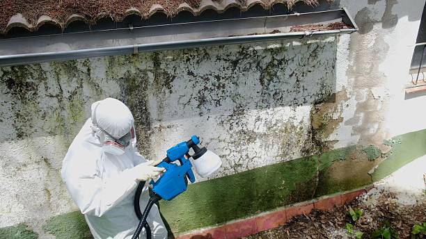 Top rated local Black Mold Remediation specialists in Clearville, PA